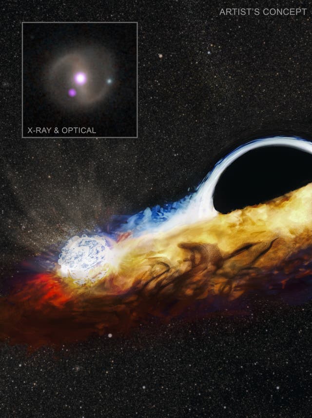 <p>An artist’s impression of an orbiting star crashing through the accretion disc around a supermassive black hole and causing a burst of X-rays, with (inset) detection of X-rays (purple) with NASA’s Chandra X-ray Observatory, overlaid on a visible light image of the host galaxy</p>