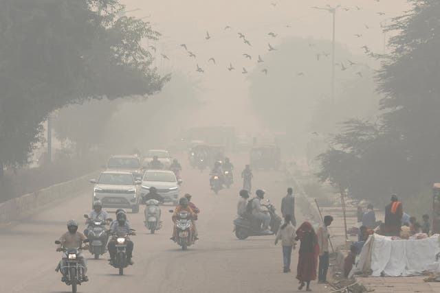 <p>File: People and vehicles are seen on a road amidst the morning smog in New Delhi, India, 8 November 2023 </p>