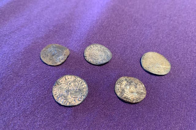 <p>The viking coins were unearthed on the Isle of Man </p>