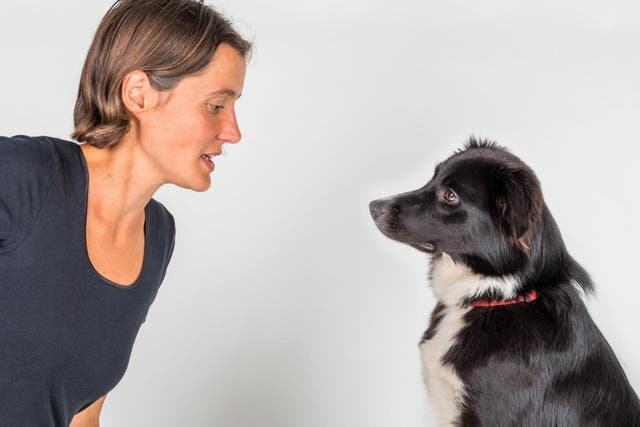 <p>Dogs are know to use facial expressions to communicate with humans</p>