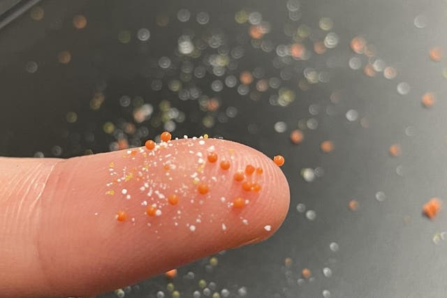<p>Single use of facial exfoliator can release upto 100,000 microplastic particles </p>