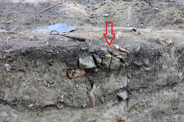 <p>Unmarked gravesite dating back to 13th century</p>