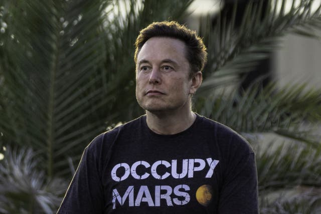 <p>SpaceX founder Elon Musk attends a SpaceX event in Texas in 2022. The private company has sent thousands of its Starlink satellites into low-Earth orbit to create a constellation that provides high-speed internet. But, the satellites could interfere with astronomy, scientists have said. </p>