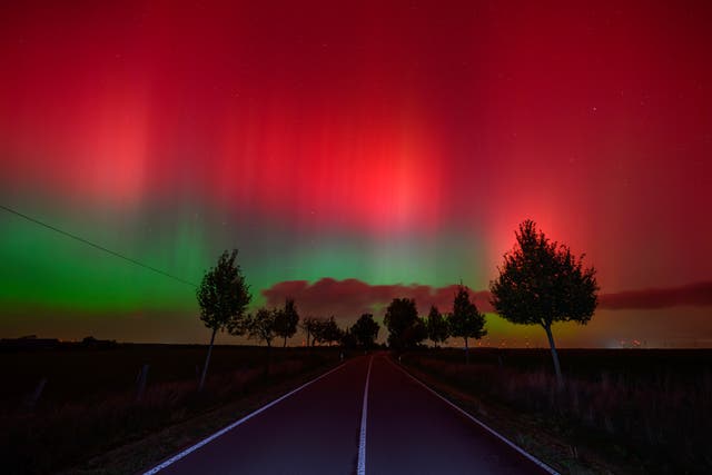 <p>The Northern lights glow in the night sky above a road in Lietzen, eastern Germany</p>