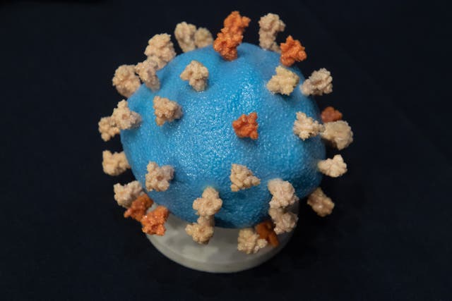 <p>Model of Covid-19 coronavirus</p>