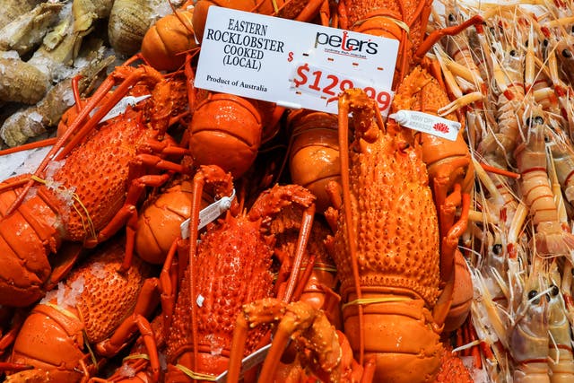 <p>Lobster will be back on the menu after the ban was lifted </p>