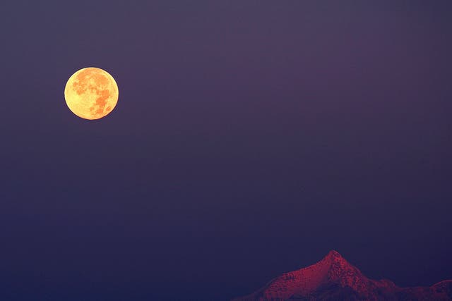 <p>The Hunter’s moon rises next to the Swiss Alps. The moon will be at peak illumination in the US early Thursday morning</p>