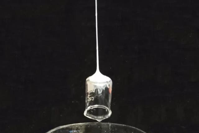 <p>Silk solution solidifies into sticky fibre and lifts glass beaker</p>