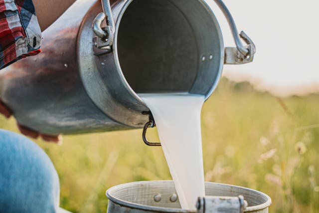 <p>Raw milk is seeing a resurgence in sales</p>
