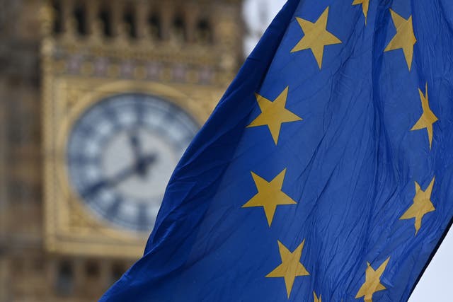 <p>Fifty-two per cent of voters say they want another Brexit referendum within five years</p>