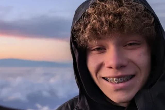 <p>Lucas Schwartz, 12, was killed in New Jersey when a tree fell on top of him while playing with friends </p>