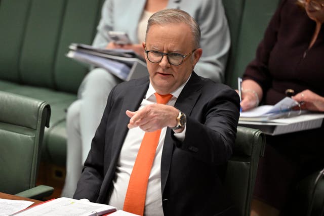 <p>File. Anthony Albanese</p>