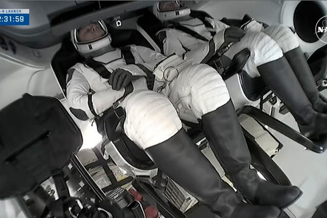 <p>SpaceX Stuck Astronauts</p>